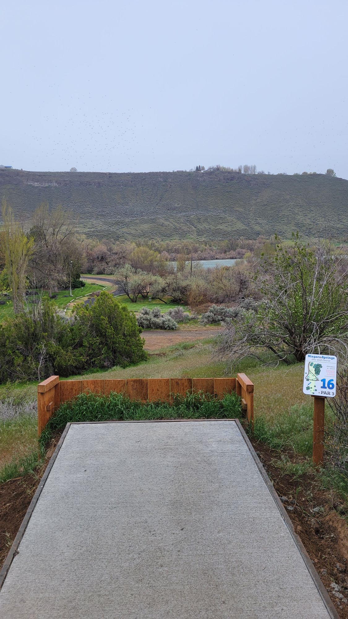 Hole 16 teepad