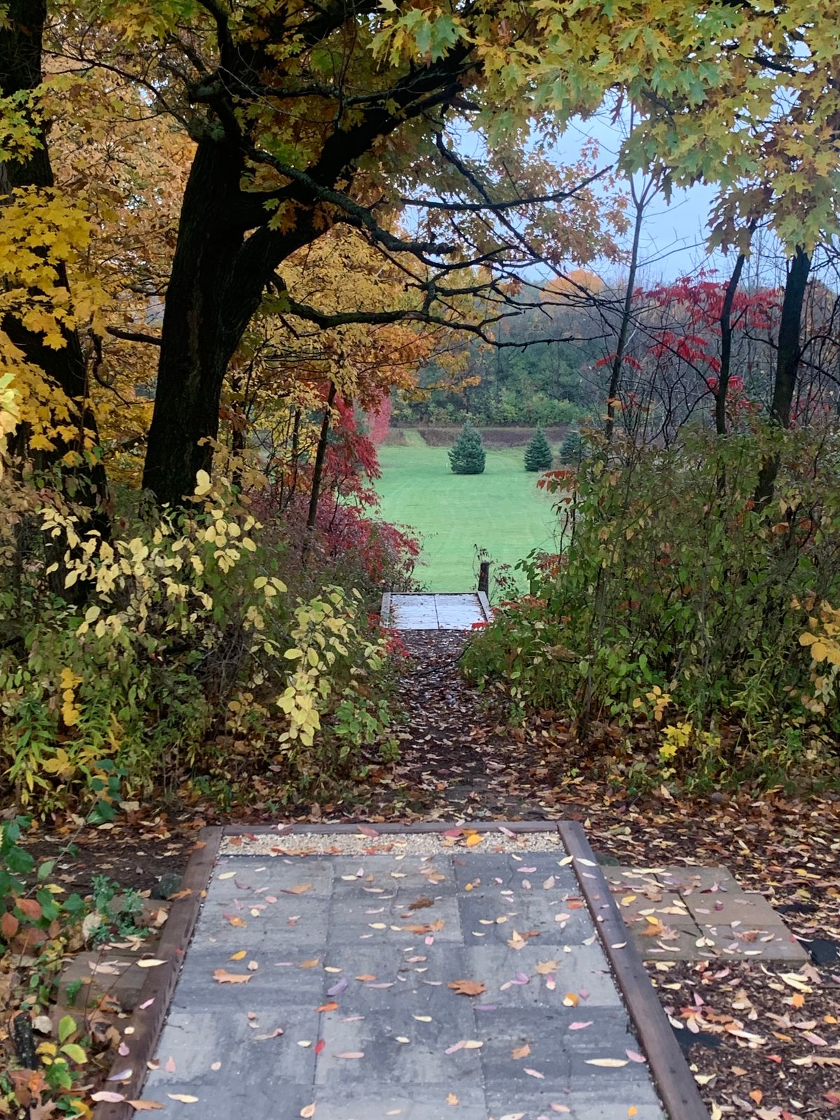 Hole 3 - Long