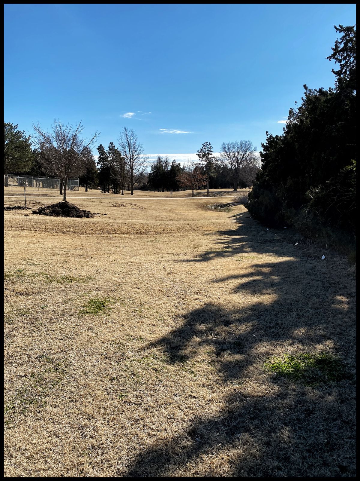 #7 Tee throwing south