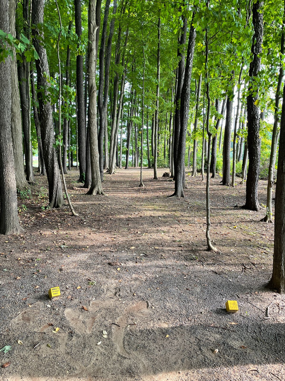 Hole 2
