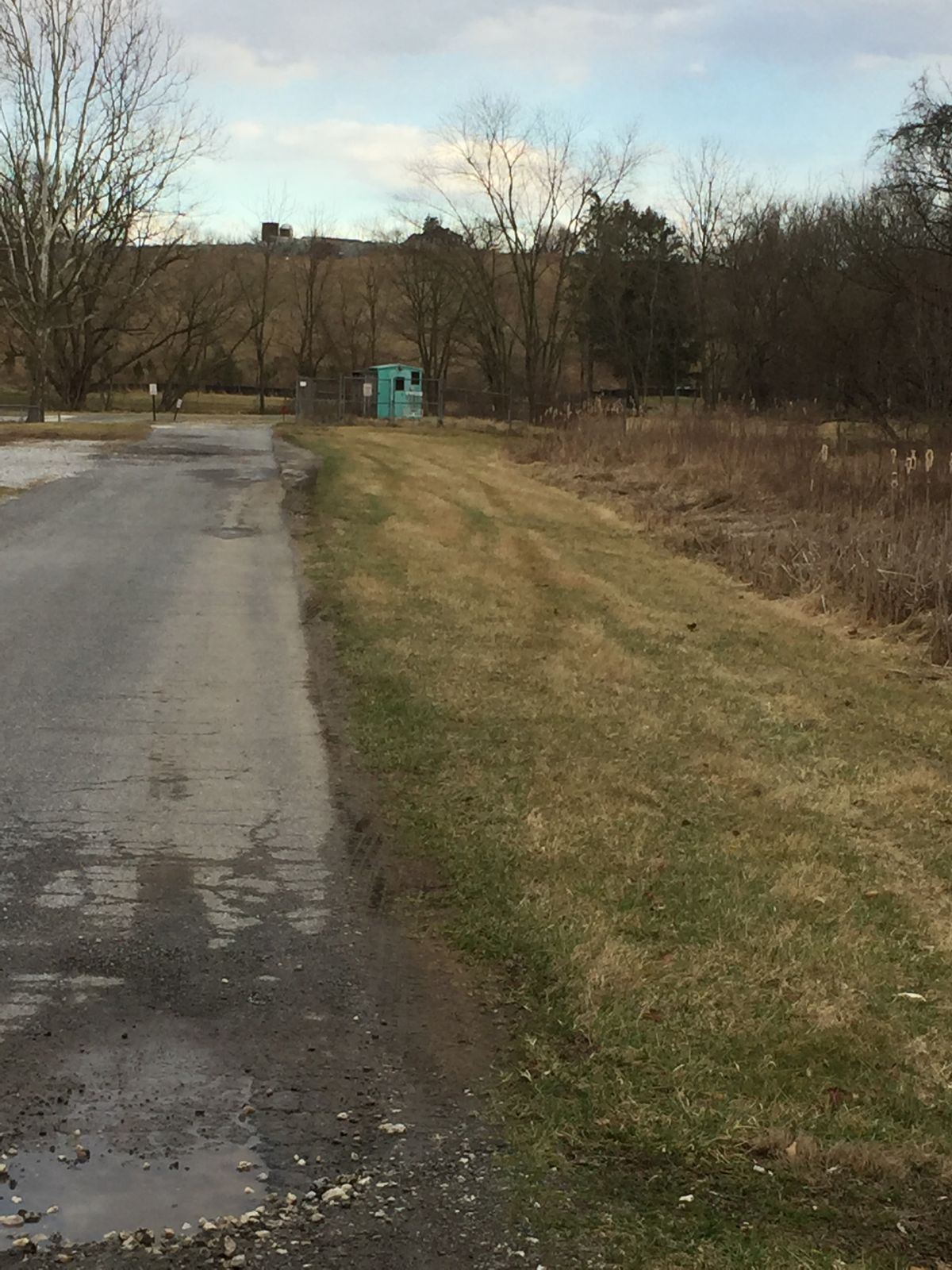 Hole 8 - straight shot