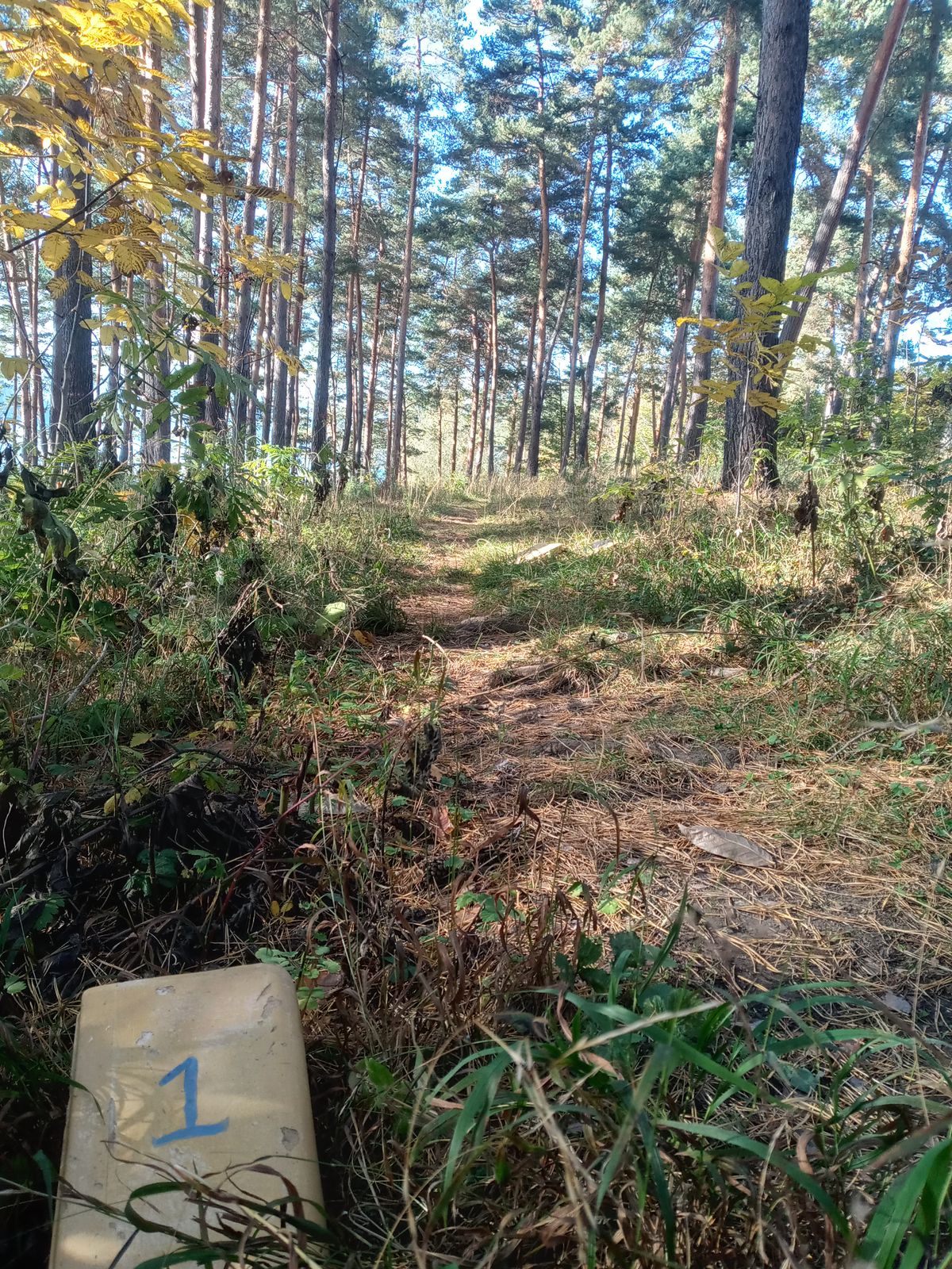 Hole 1 Tee