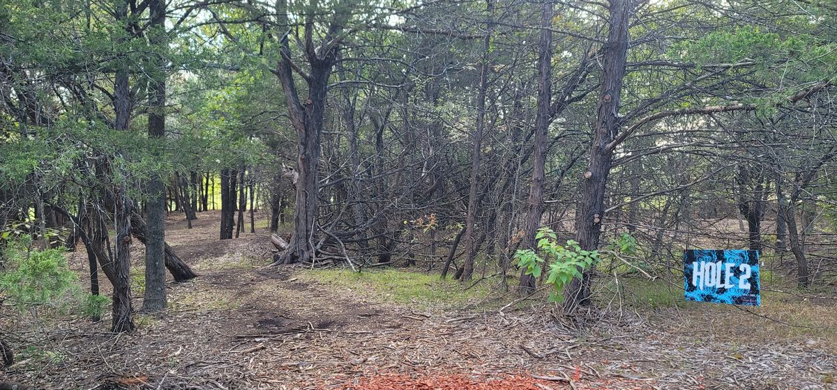 hole 2 tee