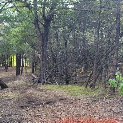 hole 2 tee