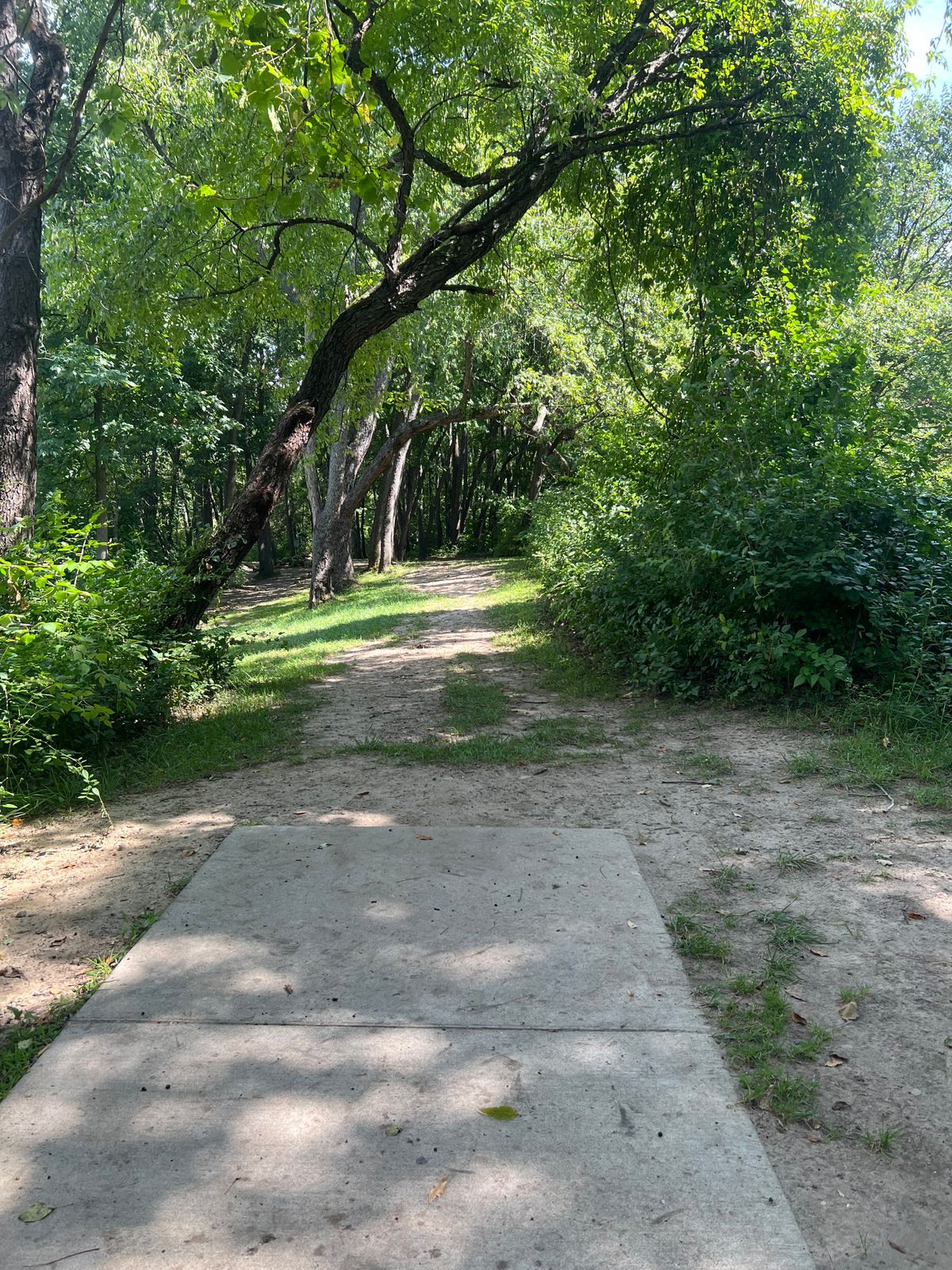 Hole 6 (White) - Tee Pad