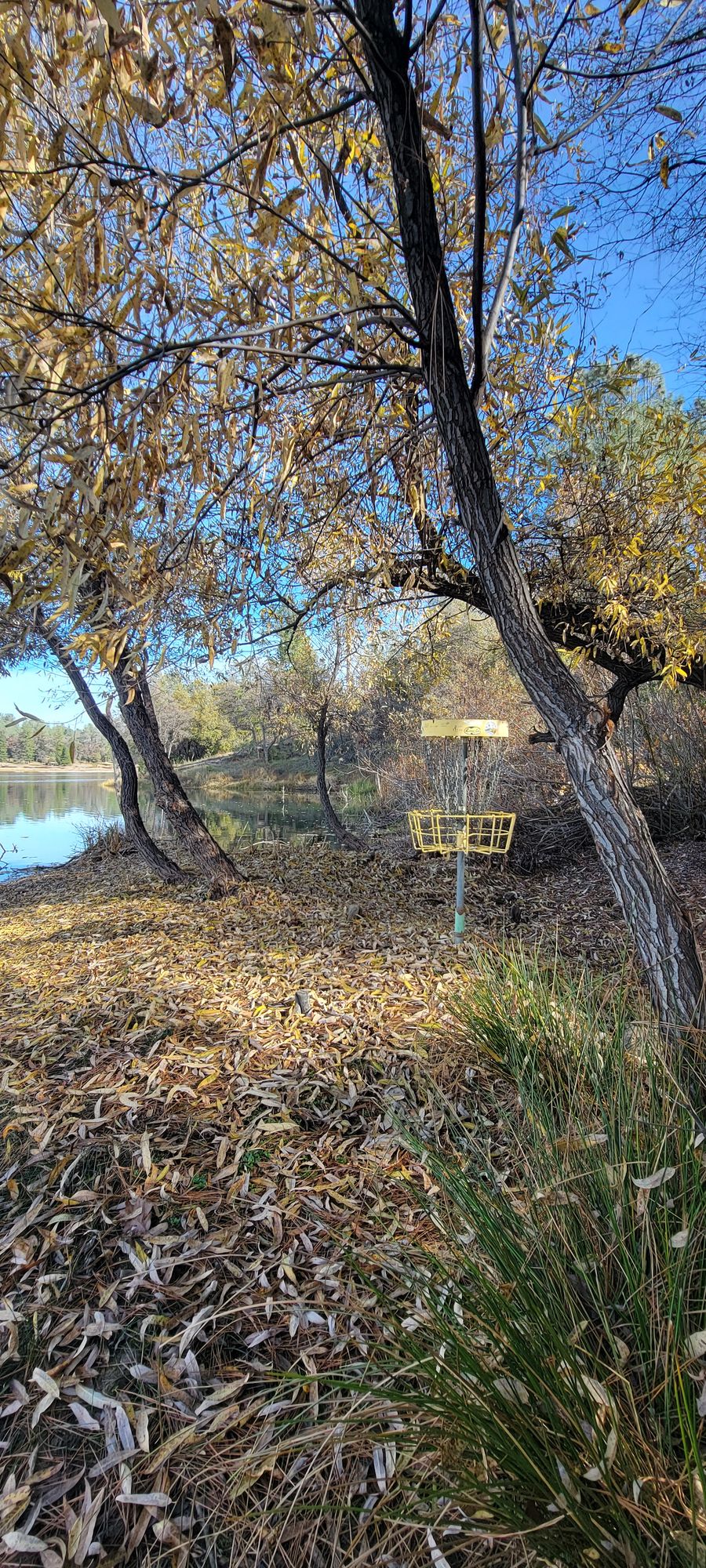 Hole 27 looking back towards the tee