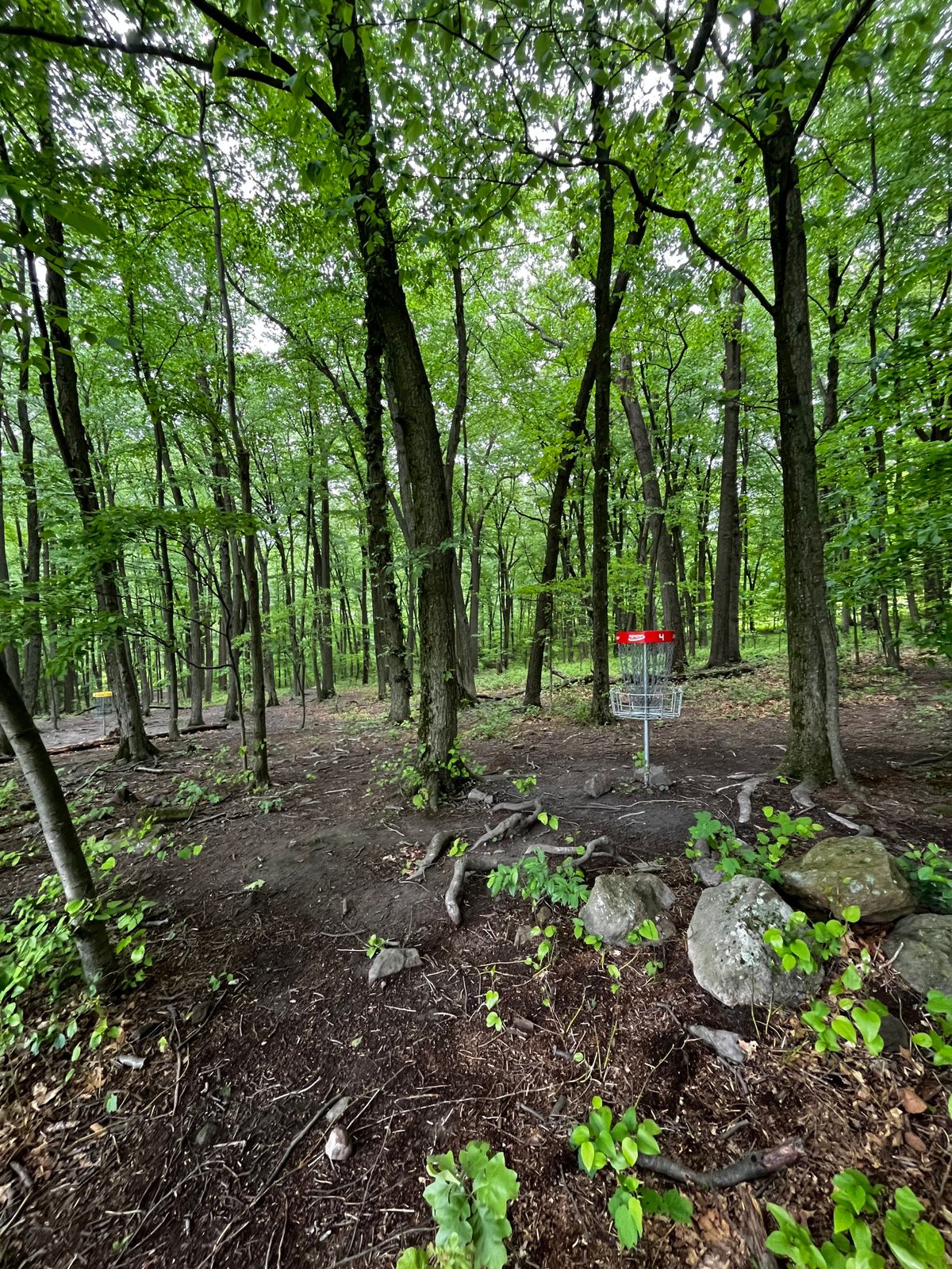 Hole 4 red green