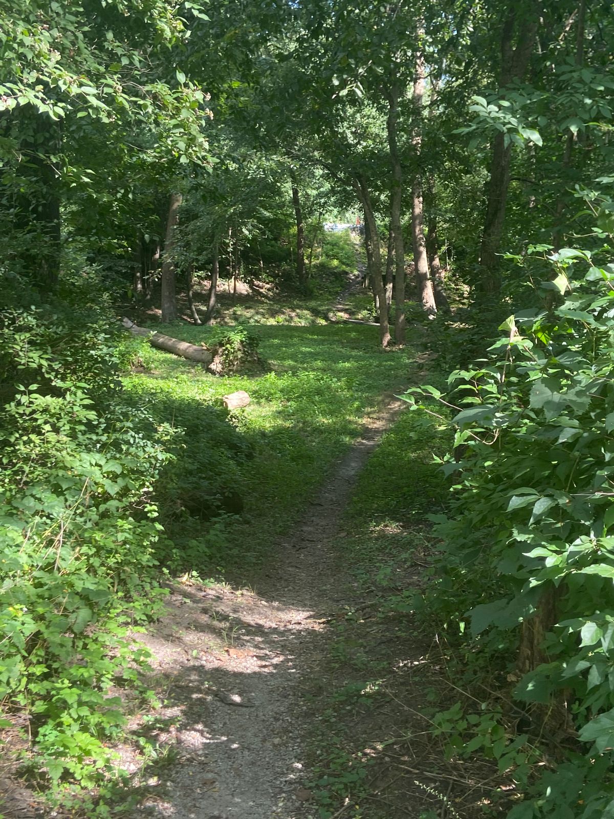 Hole 14