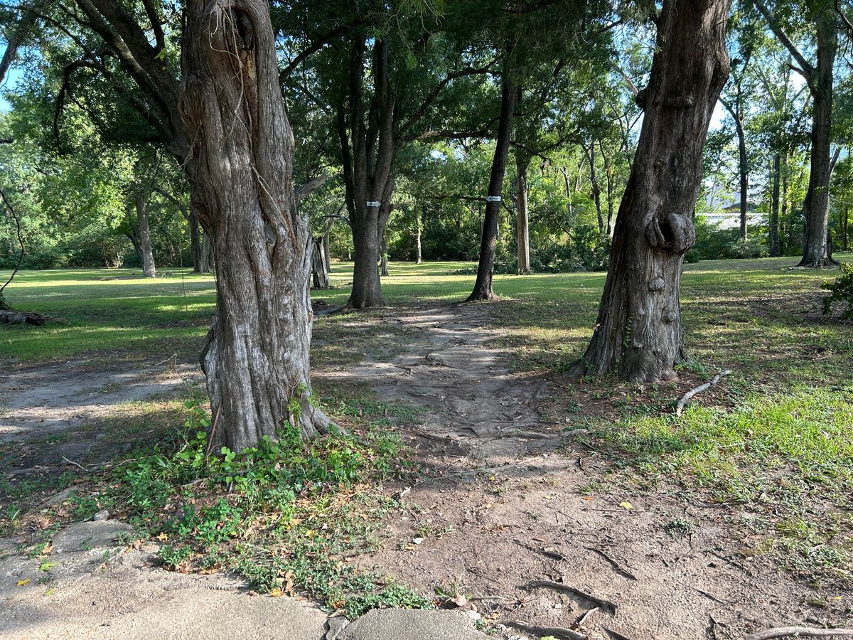 Hole 7 Fairway