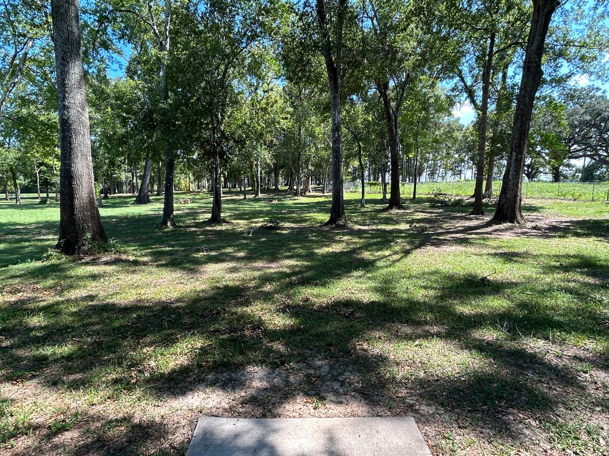 Hole 18 Fairway (White)