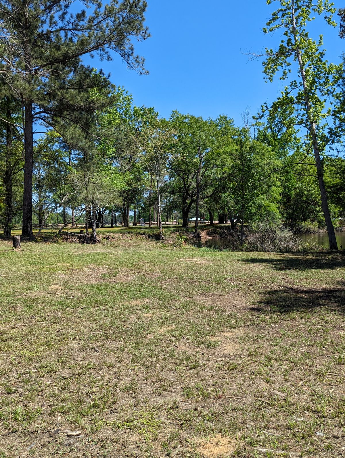 Hole 14 Fairway