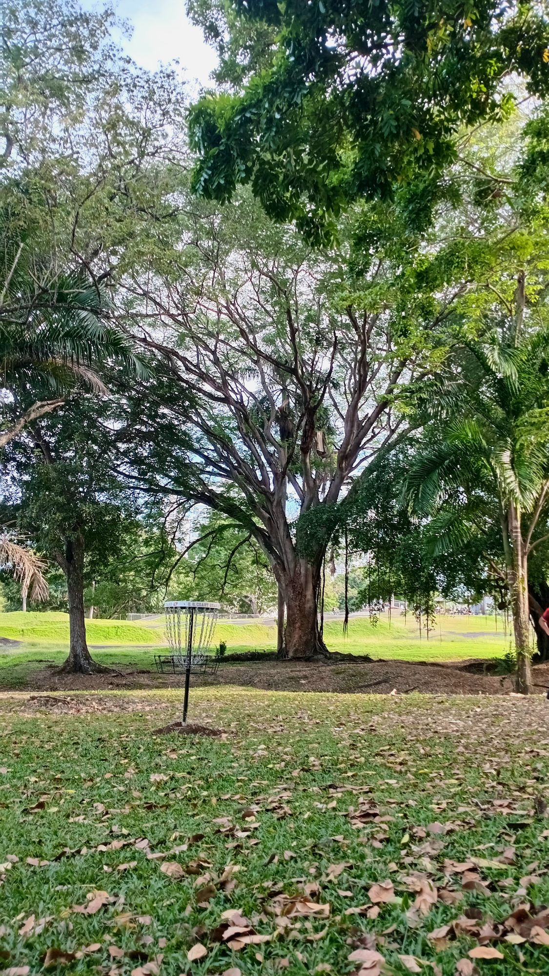 Parque Omar DG Course
Hole 2 Target