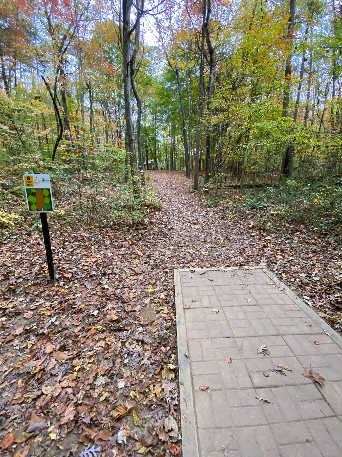 Hole 8