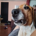 duckydoo