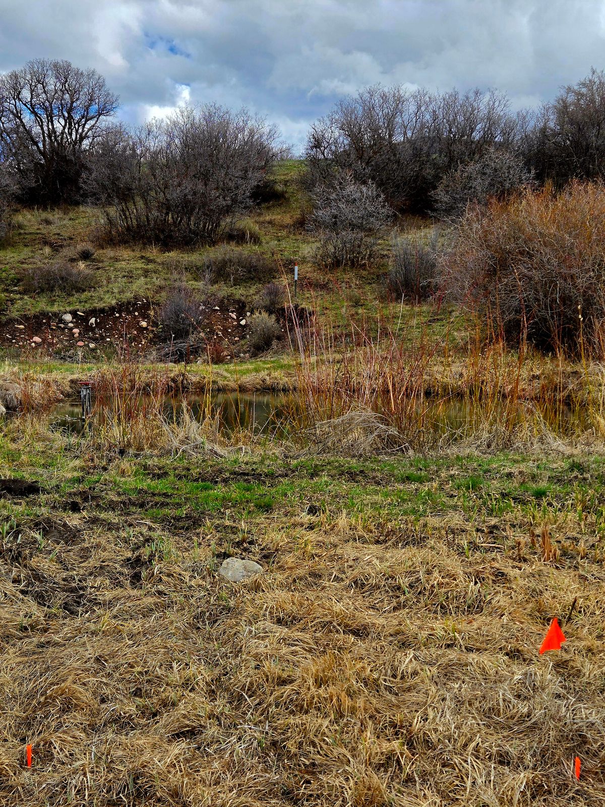 7 tee and target
