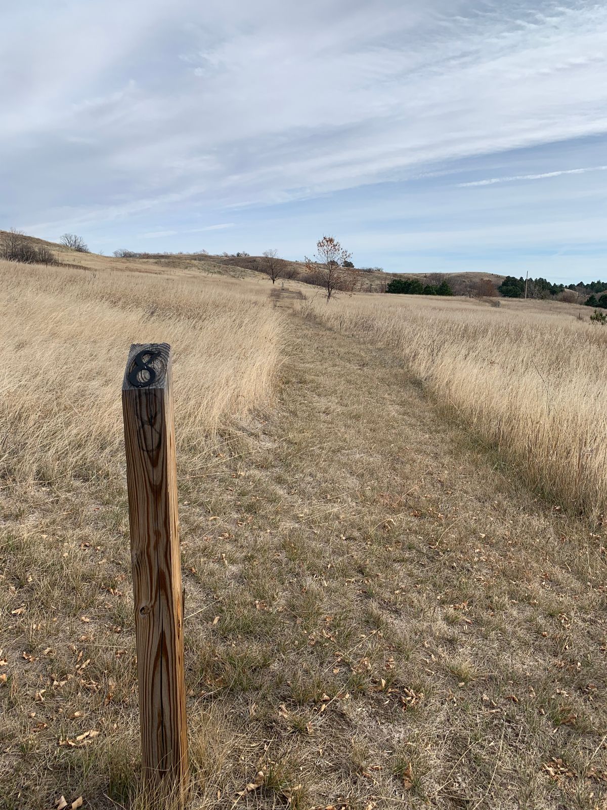 Hole 8
