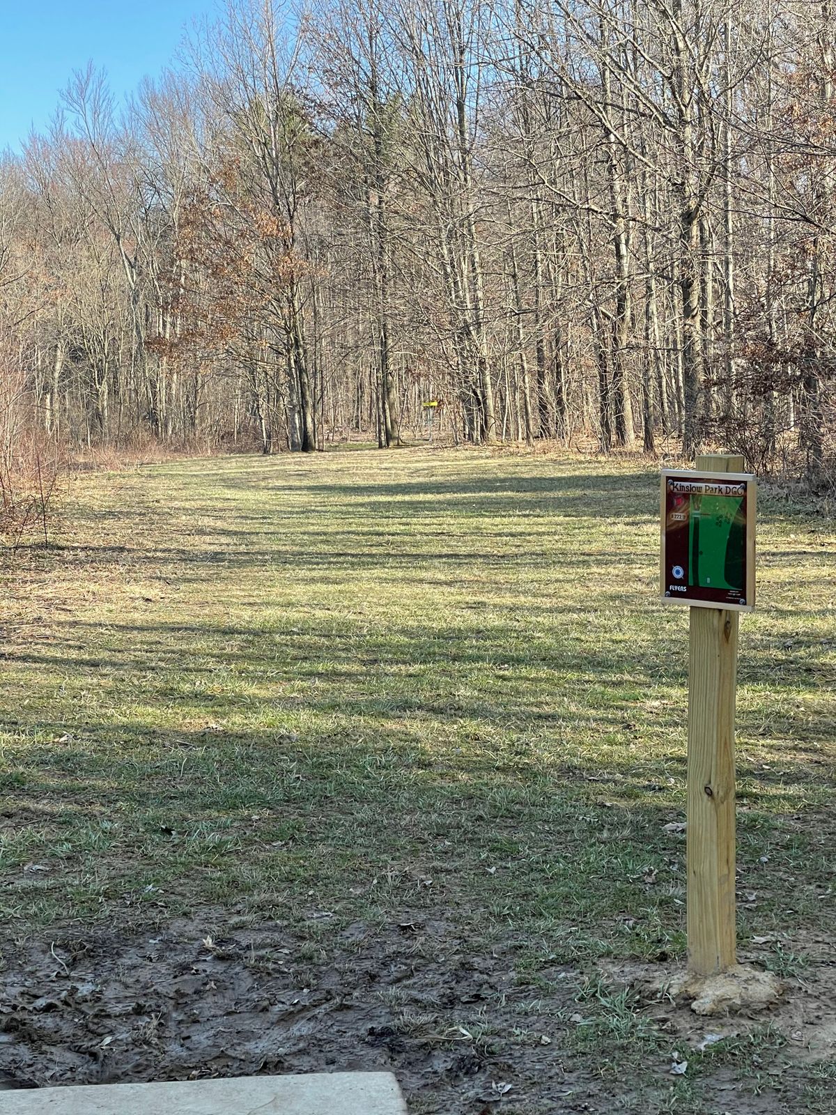Second day of spring, before the leaves make it hard.