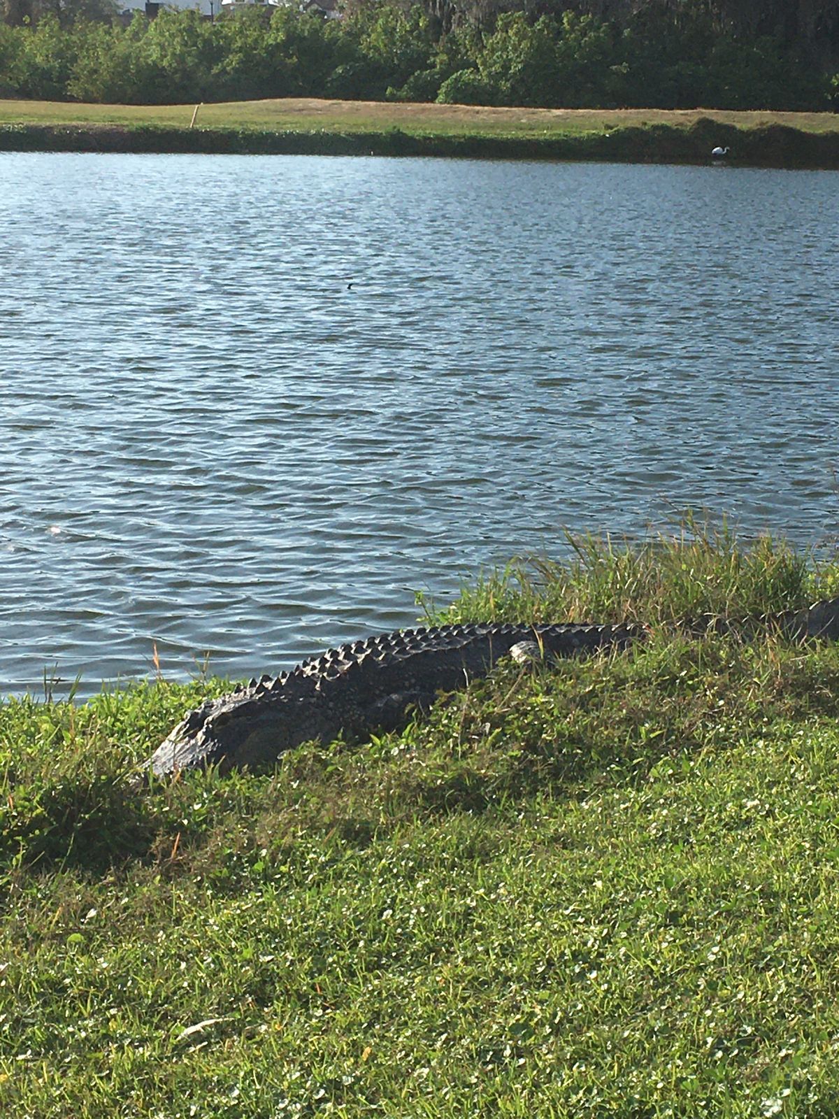 Hole 17