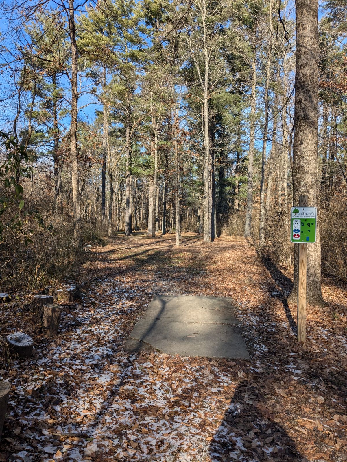 Hole 11