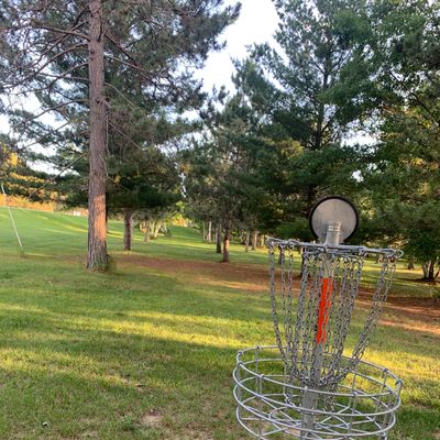 View of hole 2 basket looking back towards tee pad. Cool tunnel-type shot.