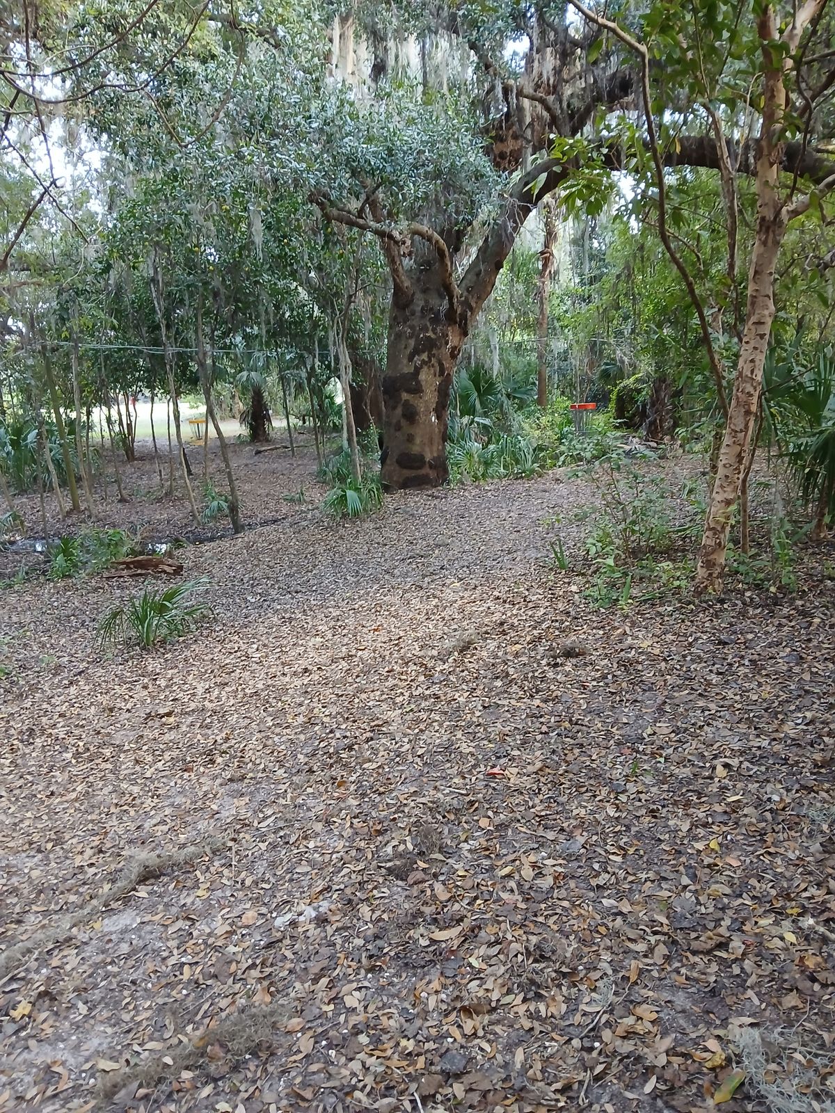 Hole 1