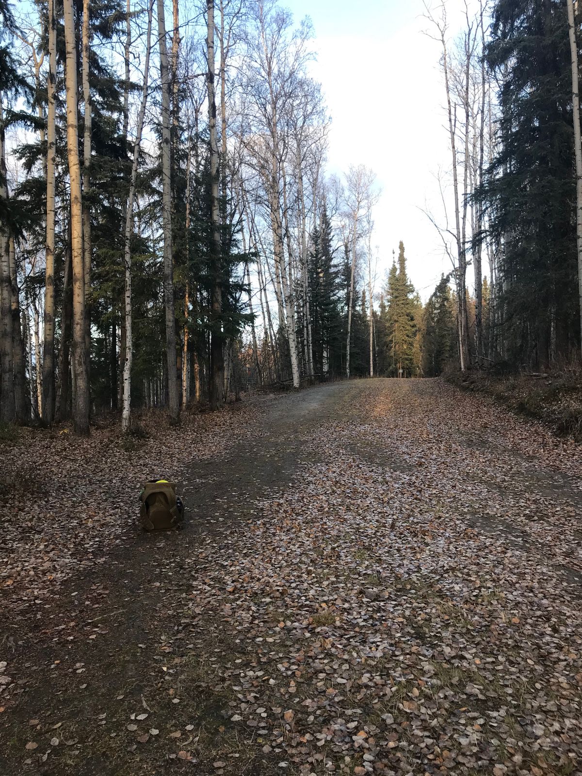 Hole 6 around corner