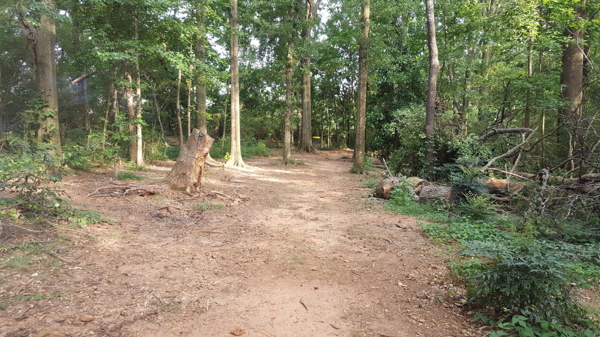 Hole 2: Fairway to Basket