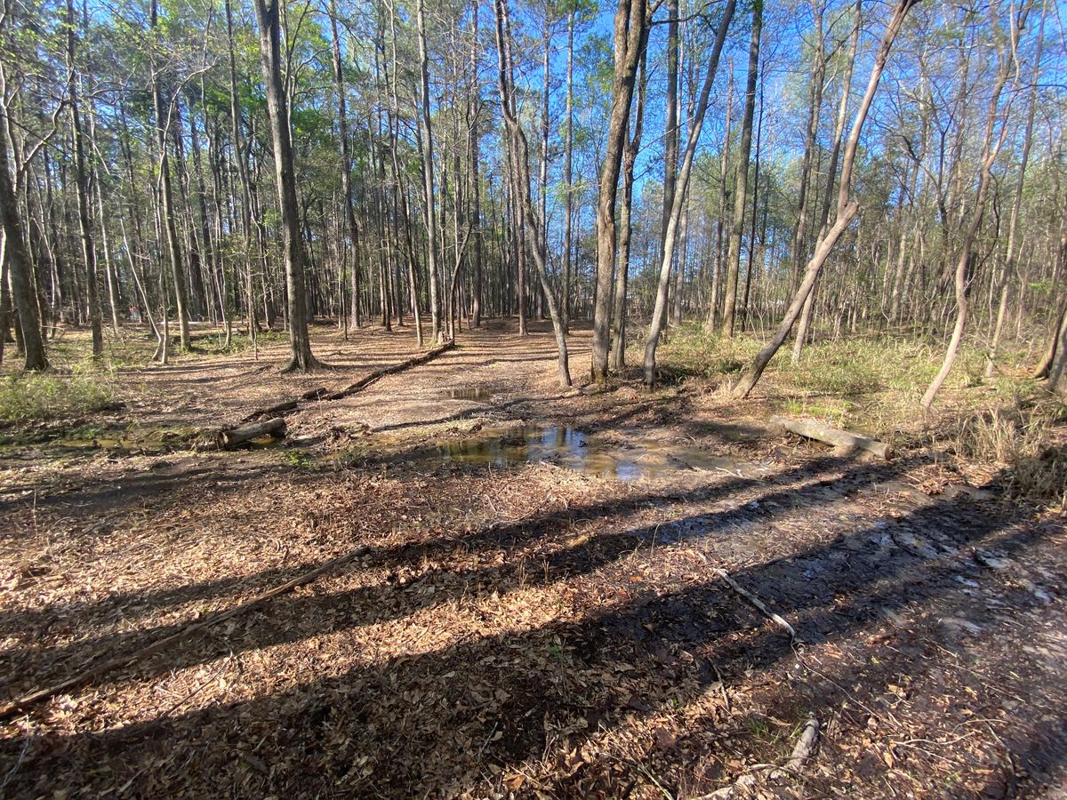 Fairway 4