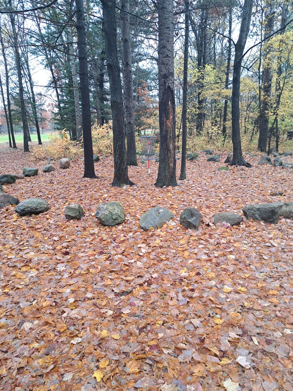 Hole 1 A basket