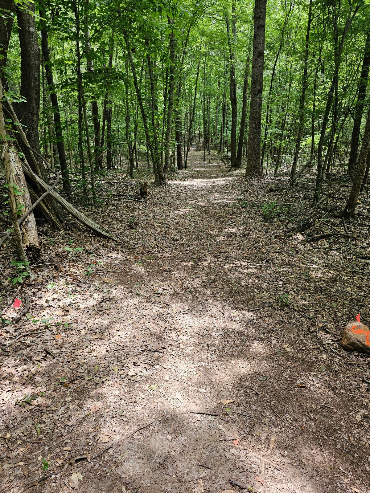 Hole 5