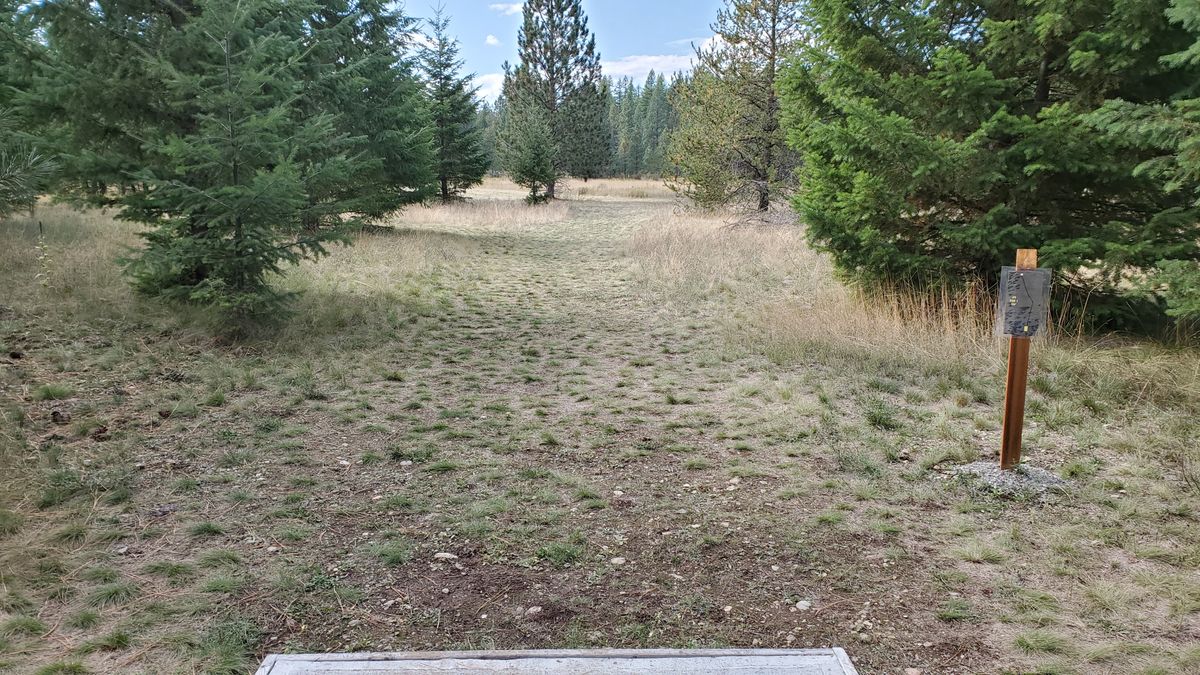 Tee pad hole 9