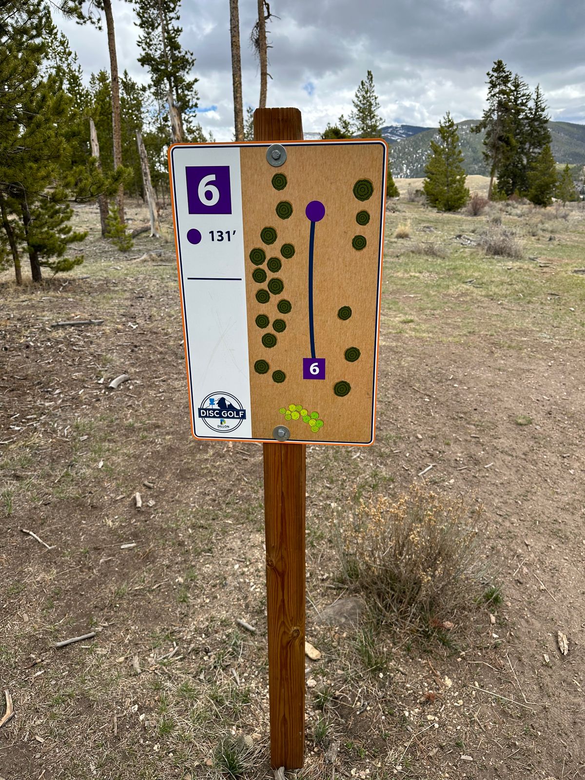 Hole 6 Tee Sign