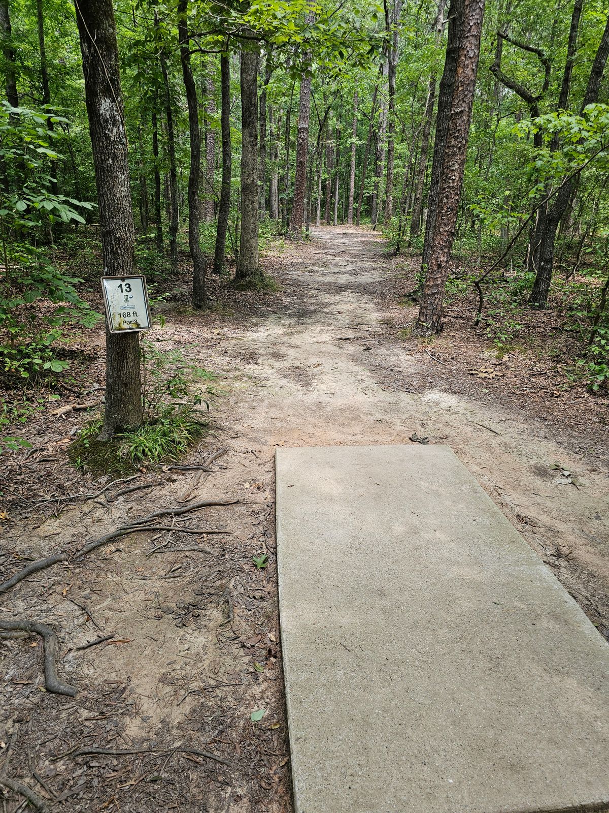 Hole 13