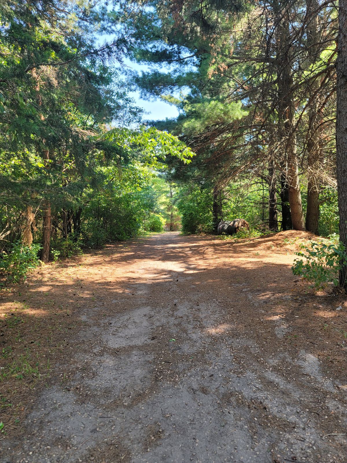 Walkway to hole 2.