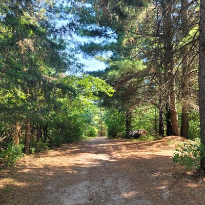 Walkway to hole 2.