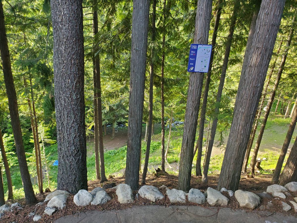 10 tee pad