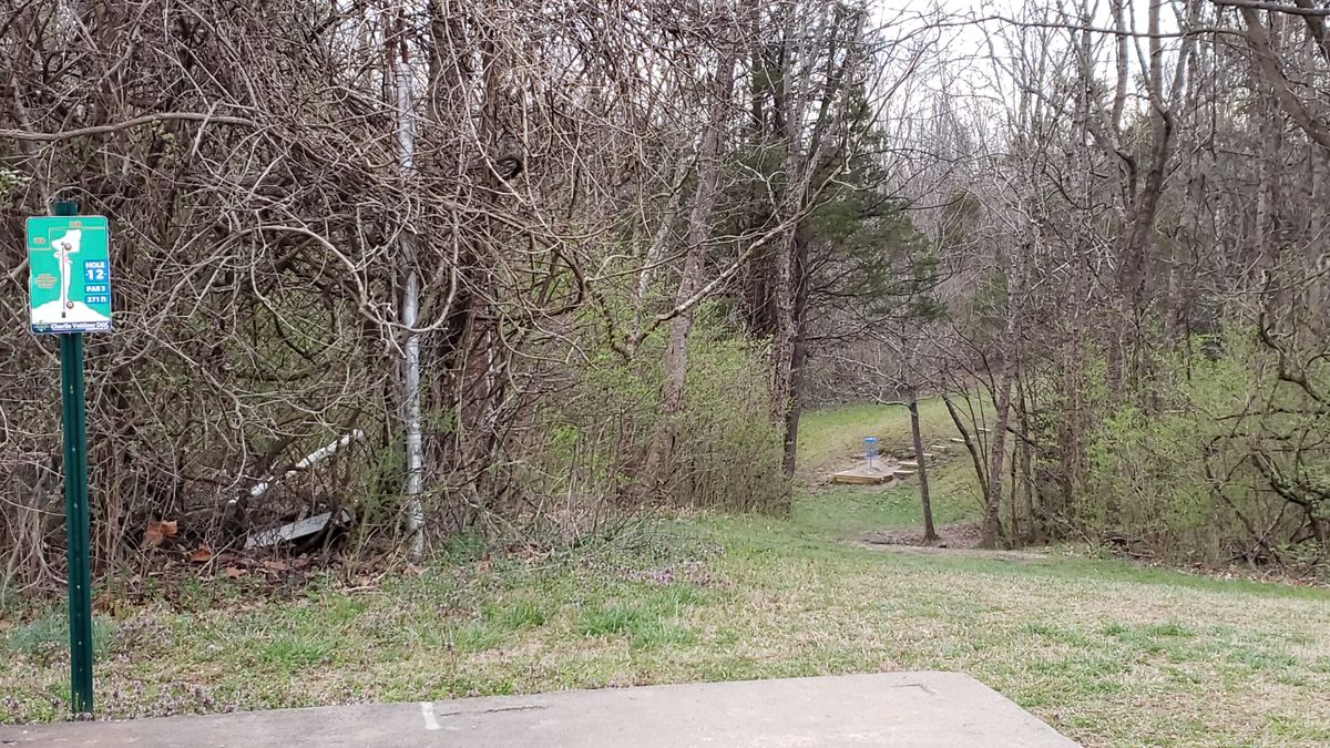Hole #12