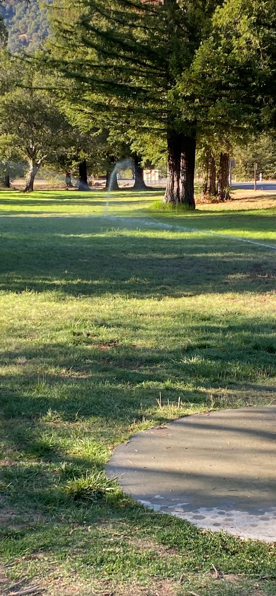 Holes 10/20 straight ahead with a round tee pad.