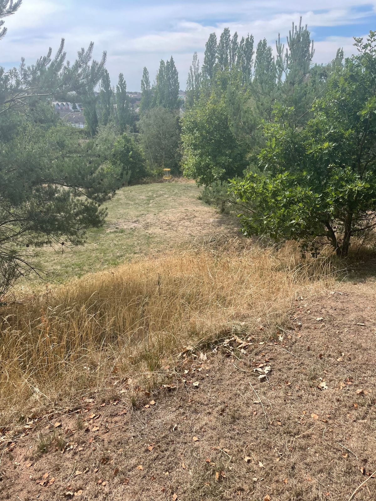 Hole 7 from Tee