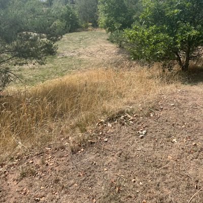 Hole 7 from Tee