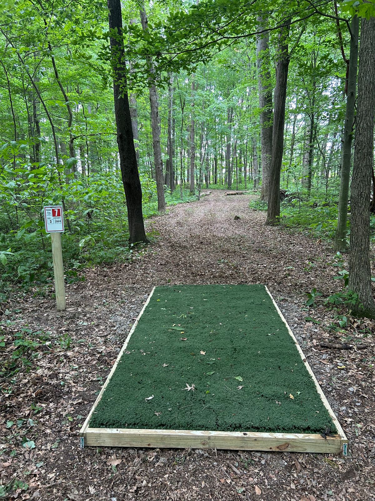 Hole 7 250ft par 3