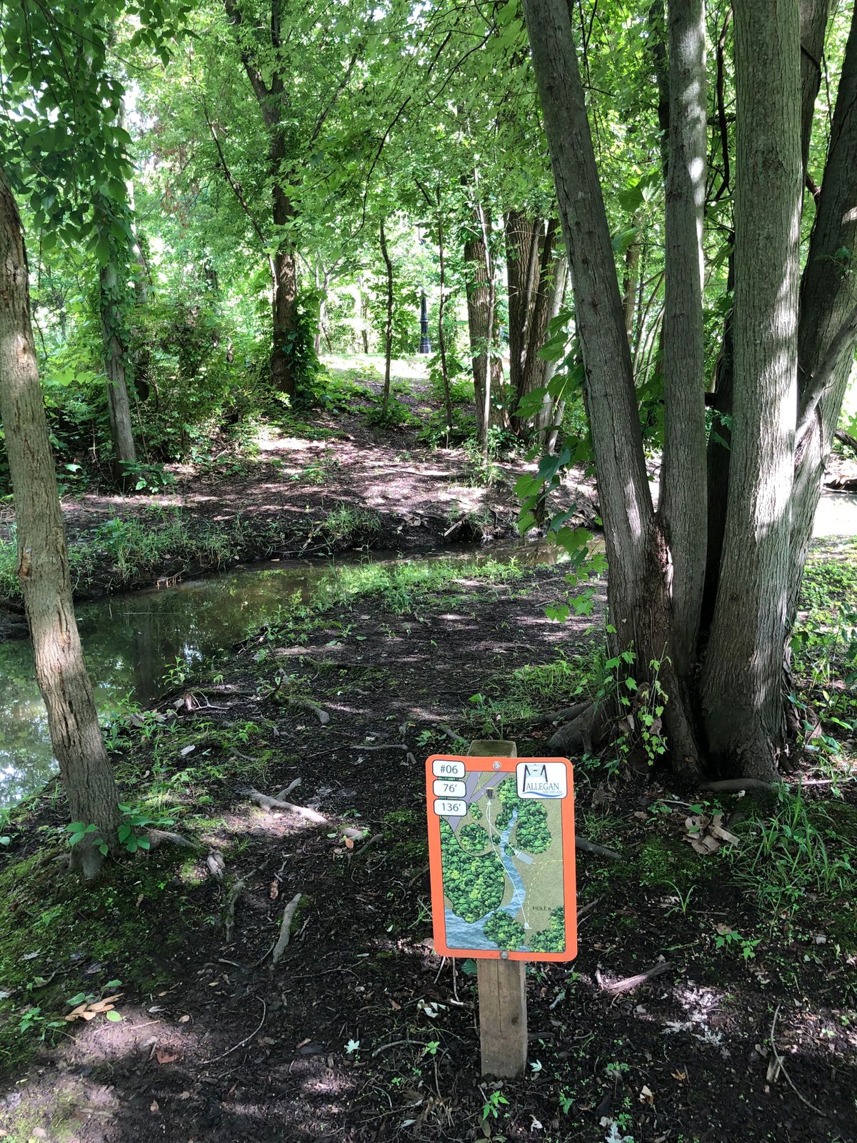 Hole 6 pad