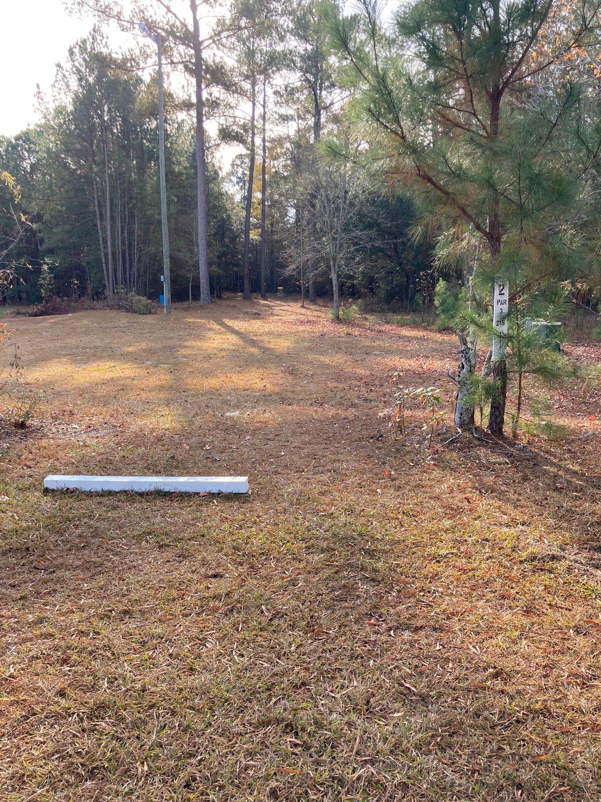 Hole 2, Tee Box, 215’ Straight.