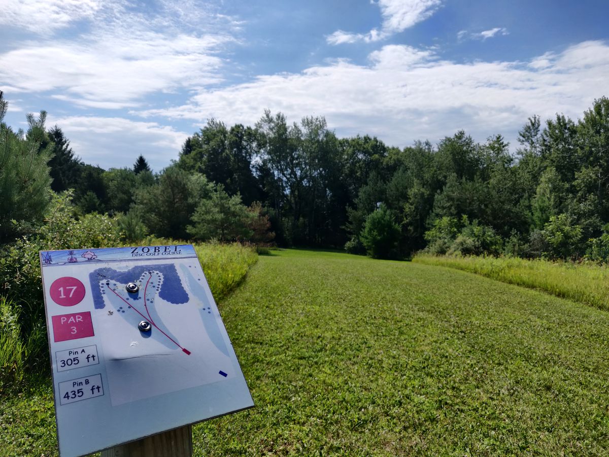 Hole 17: Right basket not approachable directly. Fairway is "L" shaped.