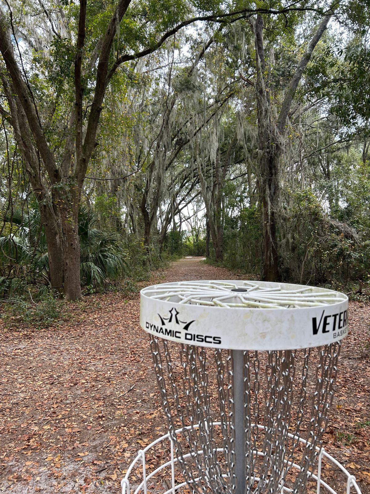 hole 8