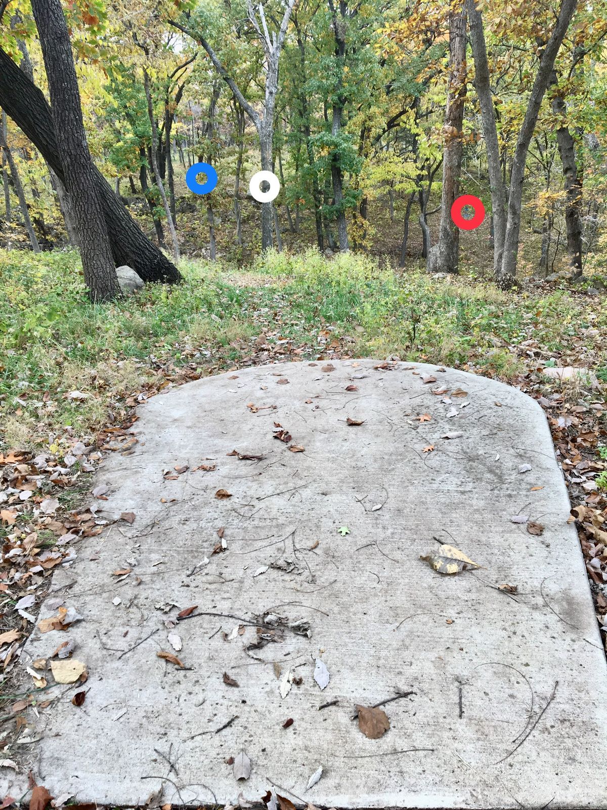 Hole 7 Tee