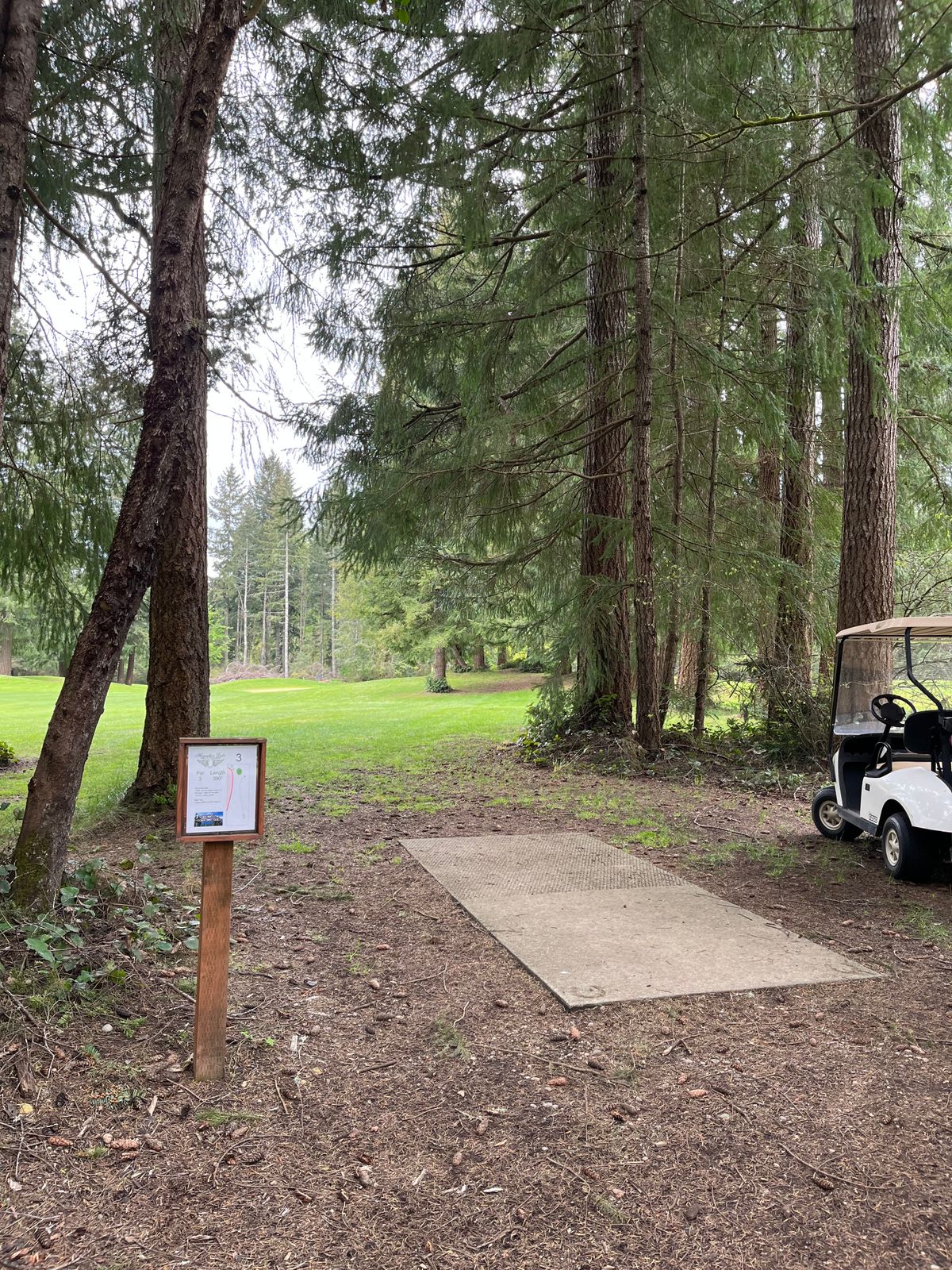 Hole 3 lakeside