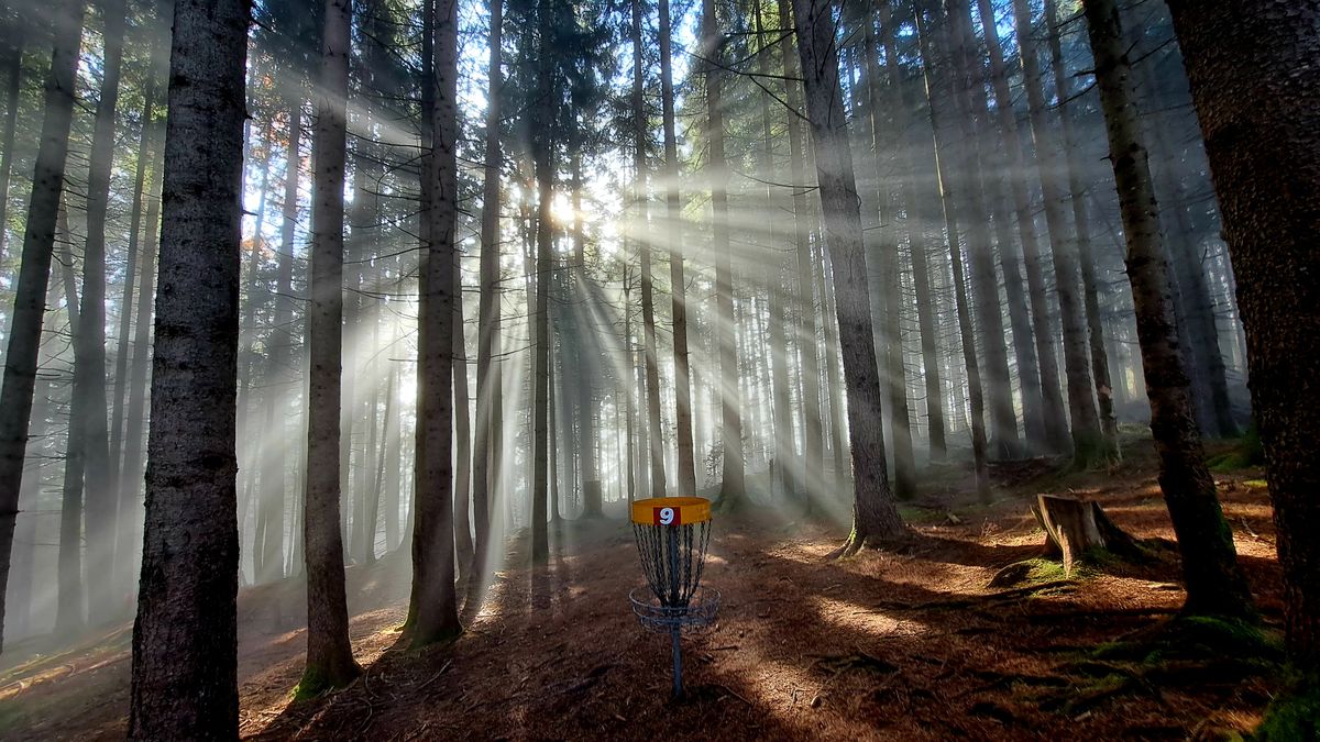 Magical misty moments on the Hill