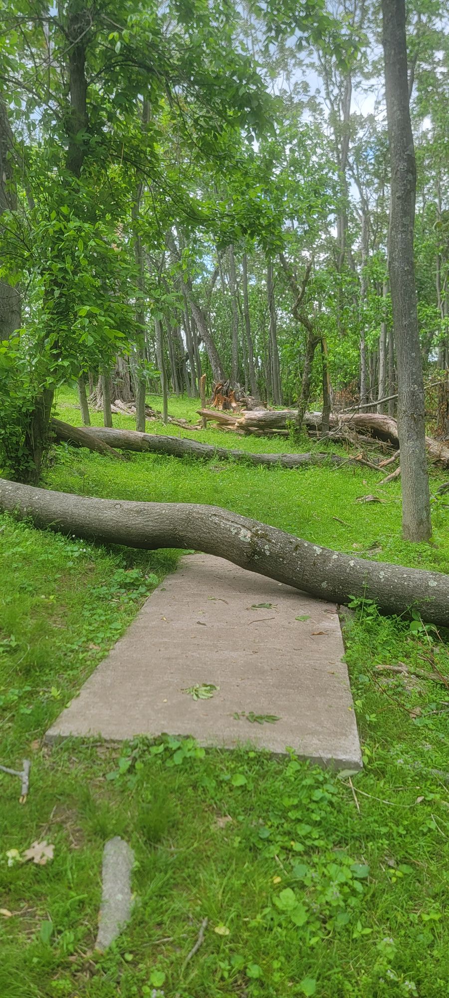 Little bit of a handicap on hole 13 tee pad.