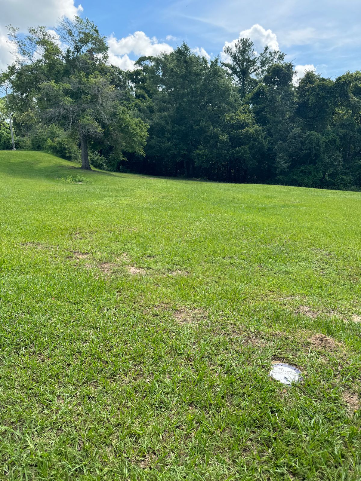 Hole 10